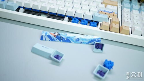 定制化手感與悅動光效 玄派玄熊貓PD98機(jī)械鍵盤深度體驗(yàn)